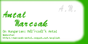 antal marcsak business card